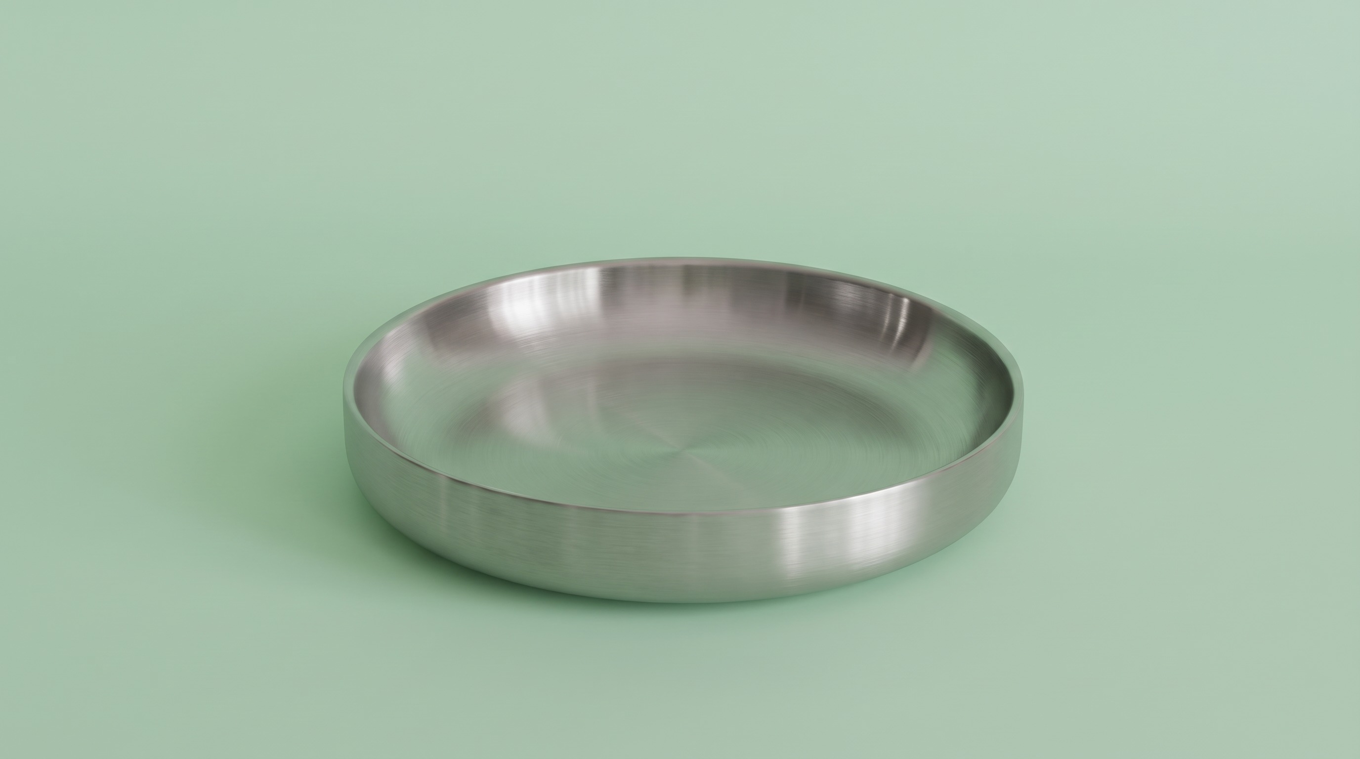 Brushed stainless steel shallow plate on a soft sage-green background